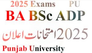 Punjab University Datesheet