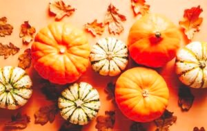 🎃 Pumpkin Wonders: 15 Seasonal Creations That Celebrate Autumn in Every Bite