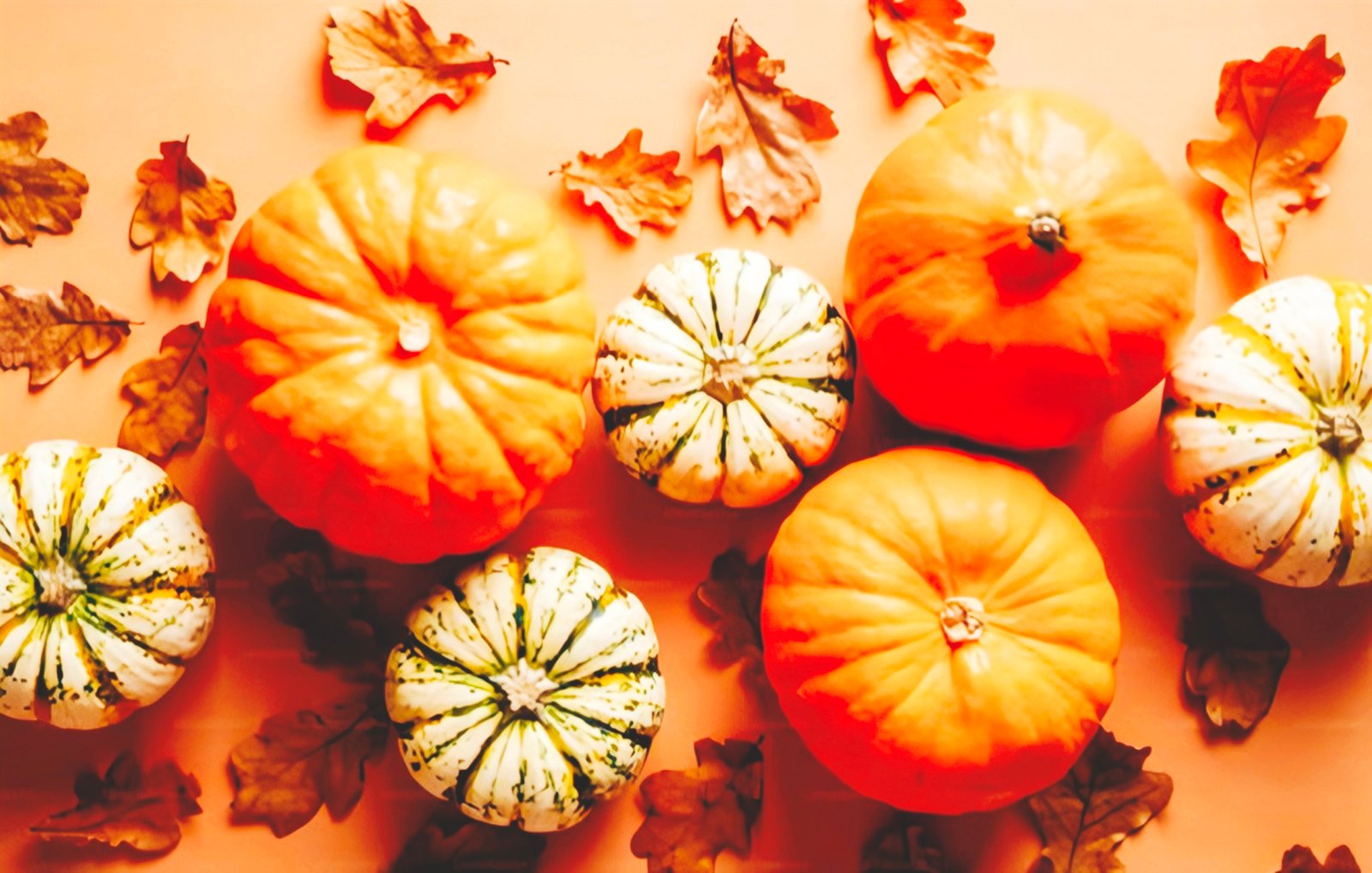 🎃 Pumpkin Wonders: 15 Seasonal Creations That Celebrate Autumn in Every Bite
