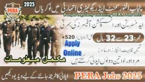 Punjab Enforcement and Regulatory Authority (PERA) Careers
